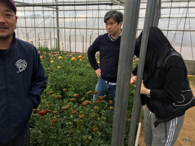 Farm visiting for oversea buyers 2017 February