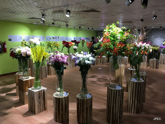 JPEC Flower Show 2017 in Dubai