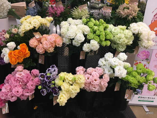 JPEC Flower Show 2016 in Australia